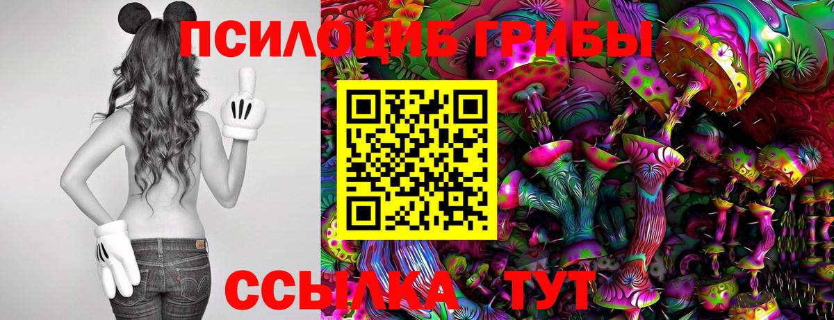 Галлюциногенные грибы MAGIC MUSHROOMS  Вход с VPN  Сосновый Бор 
